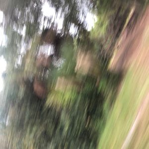 Meet your Posher, Bob